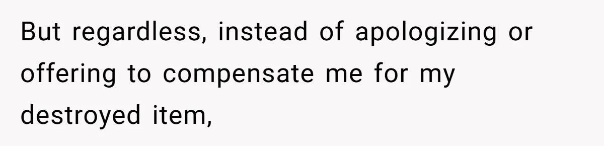 But regardless, instead of apologizing or offering to compensate me for my destroyed item,
