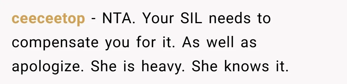 ceeceetop − NTA. Your SIL needs to compensate you for it. As well as apologize. She is heavy. She knows it.