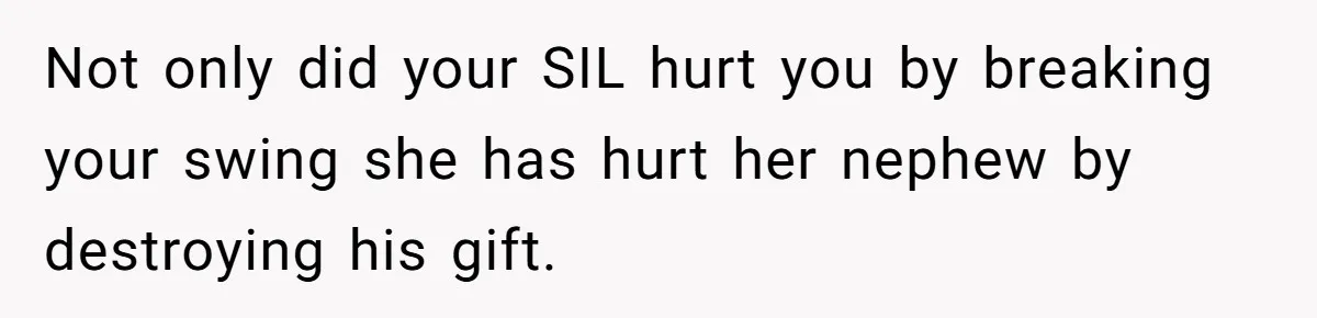Not only did your SIL hurt you by breaking your swing she has hurt her nephew by destroying his gift.