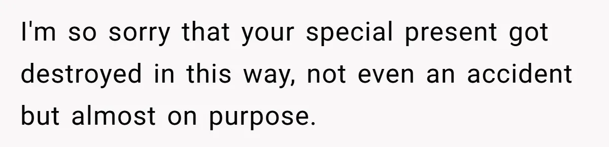 I'm so sorry that your special present got destroyed in this way, not even an accident but almost on purpose.