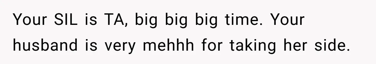 Your SIL is TA, big big big time. Your husband is very mehhh for taking her side.