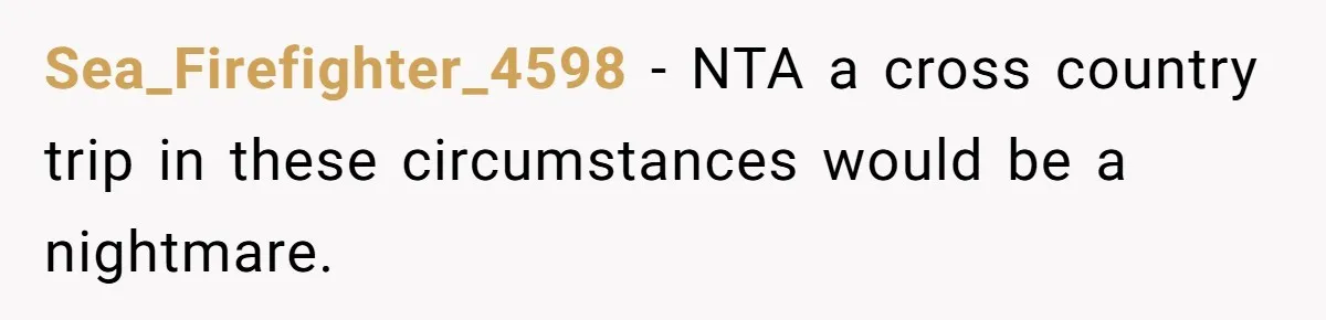 Sea_Firefighter_4598 − NTA a cross country trip in these circumstances would be a nightmare.