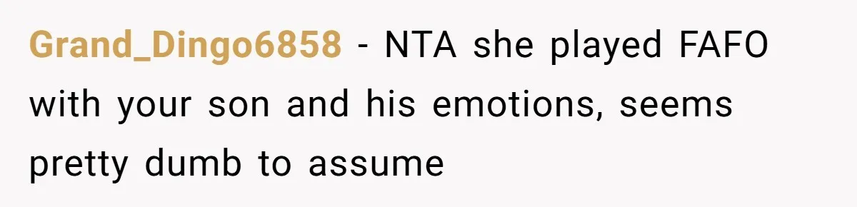 Grand_Dingo6858 − NTA she played FAFO with your son and his emotions, seems pretty dumb to assume