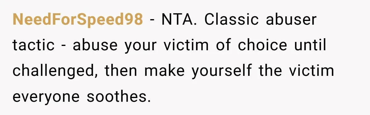 NeedForSpeed98 − NTA. Classic abuser tactic - abuse your victim of choice until challenged, then make yourself the victim everyone soothes.