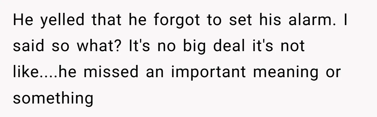 He yelled that he forgot to set his alarm. I said so what? It's no big deal it's not like....he missed an important meaning or something