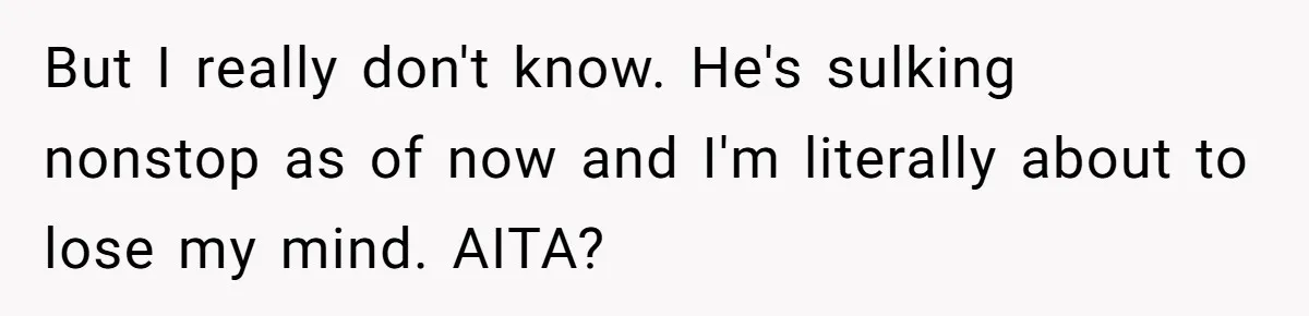 But I really don't know. He's sulking nonstop as of now and I'm literally about to lose my mind. AITA?