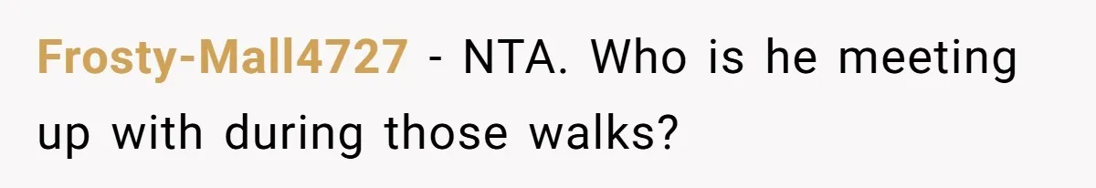 Frosty-Mall4727 − NTA. Who is he meeting up with during those walks?