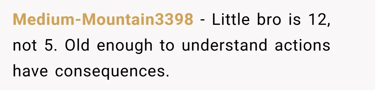Medium-Mountain3398 − Little bro is 12, not 5. Old enough to understand actions have consequences.