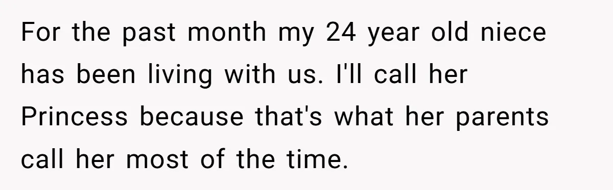 For the past month my 24 year old niece has been living with us. I'll call her Princess because that's what her parents call her most of the time.