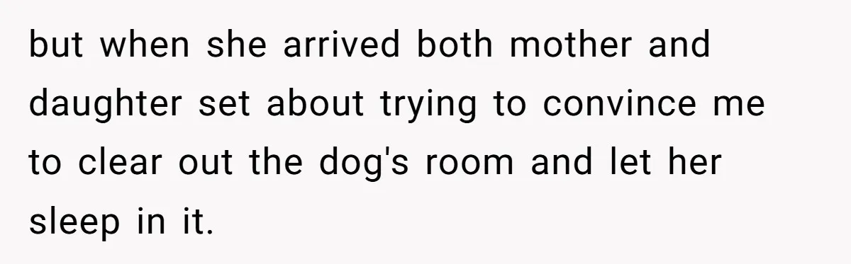 but when she arrived both mother and daughter set about trying to convince me to clear out the dog's room and let her sleep in it.