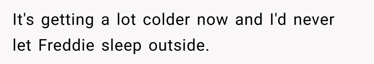 It's getting a lot colder now and I'd never let Freddie sleep outside.