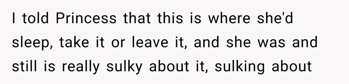 I told Princess that this is where she'd sleep, take it or leave it, and she was and still is really sulky about it, sulking about