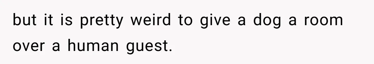 but it is pretty weird to give a dog a room over a human guest.