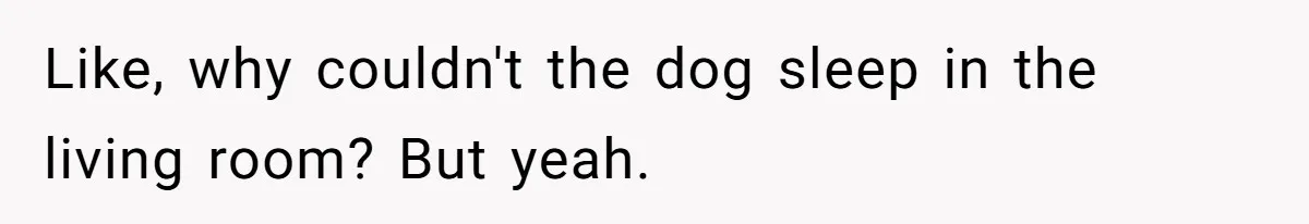 Like, why couldn't the dog sleep in the living room? But yeah.