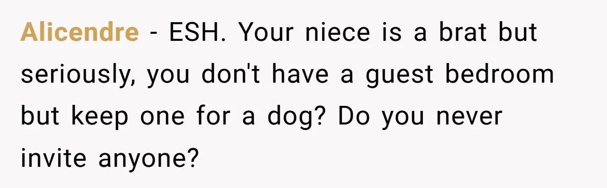 Alicendre − ESH. Your niece is a brat but seriously, you don't have a guest bedroom but keep one for a dog? Do you never invite anyone?