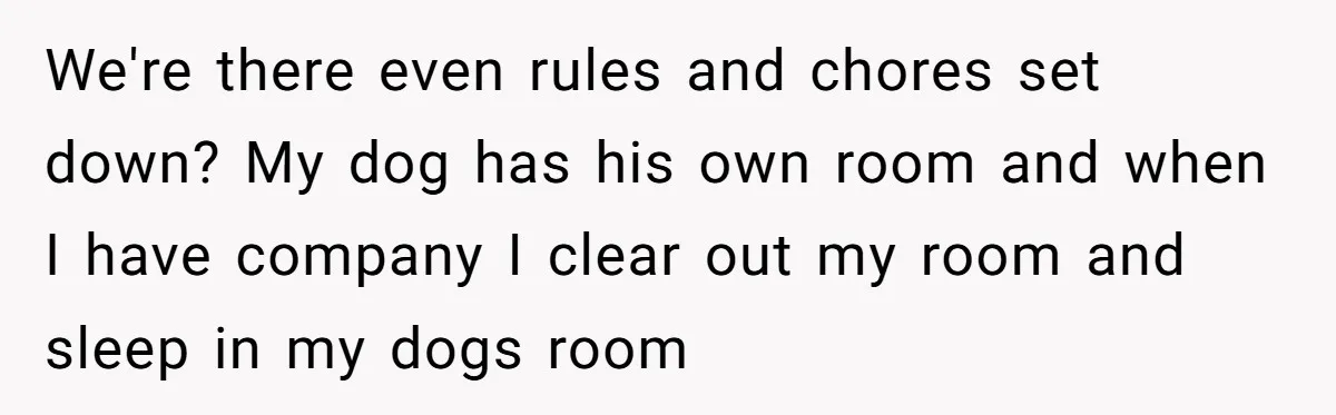 We're there even rules and chores set down? My dog has his own room and when I have company I clear out my room and sleep in my dogs room