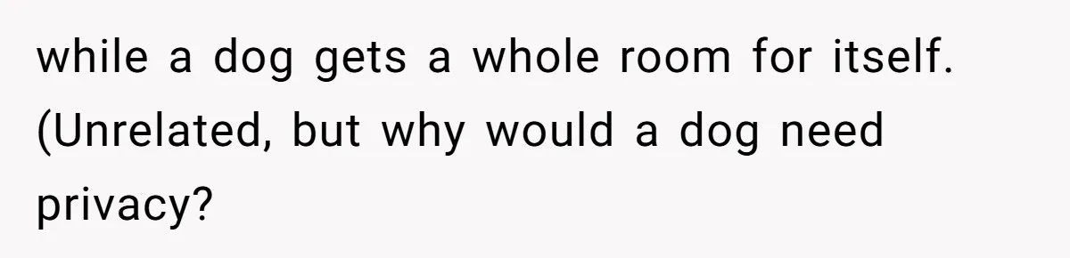 while a dog gets a whole room for itself. (Unrelated, but why would a dog need privacy?