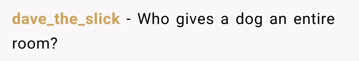 dave_the_slick − Who gives a dog an entire room?