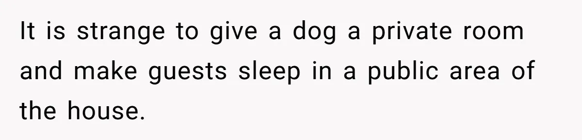 It is strange to give a dog a private room and make guests sleep in a public area of the house.