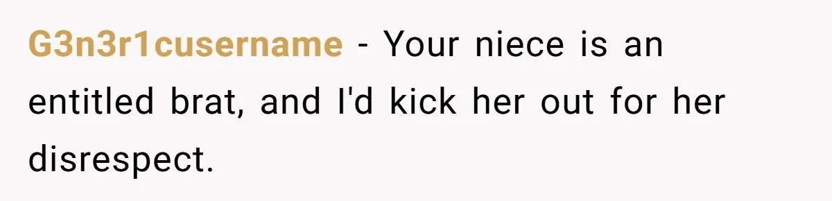 G3n3r1cusername − Your niece is an entitled brat, and I'd kick her out for her disrespect.