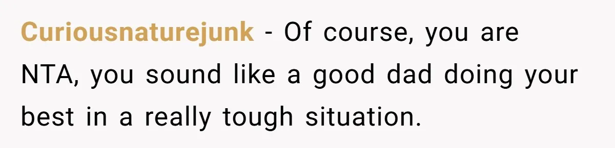 Curiousnaturejunk − Of course, you are NTA, you sound like a good dad doing your best in a really tough situation.