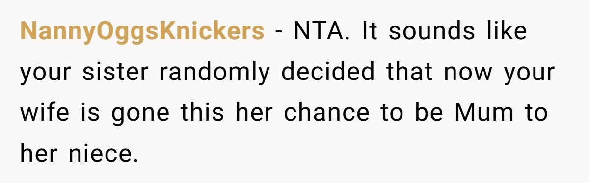 NannyOggsKnickers − NTA. It sounds like your sister randomly decided that now your wife is gone this her chance to be Mum to her niece.