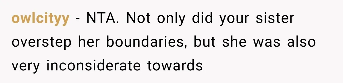 owlcityy − NTA. Not only did your sister overstep her boundaries, but she was also very inconsiderate towards