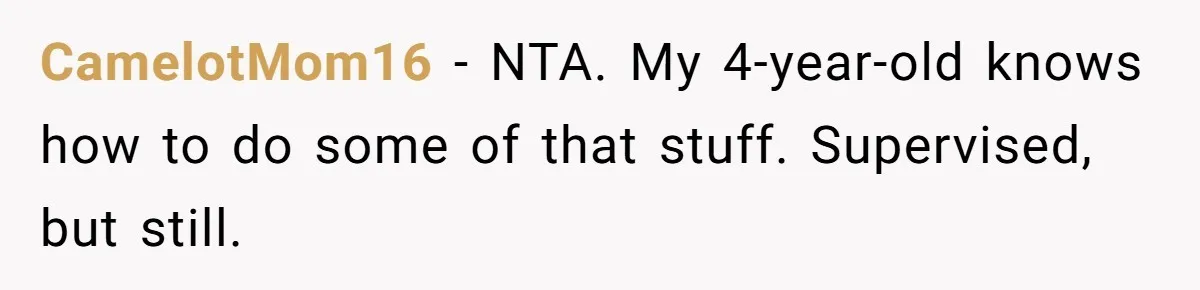 CamelotMom16 − NTA. My 4-year-old knows how to do some of that stuff. Supervised, but still.