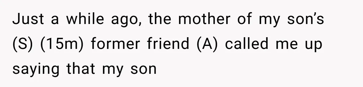 Just a while ago, the mother of my son’s (S) (15m) former friend (A) called me up saying that my son