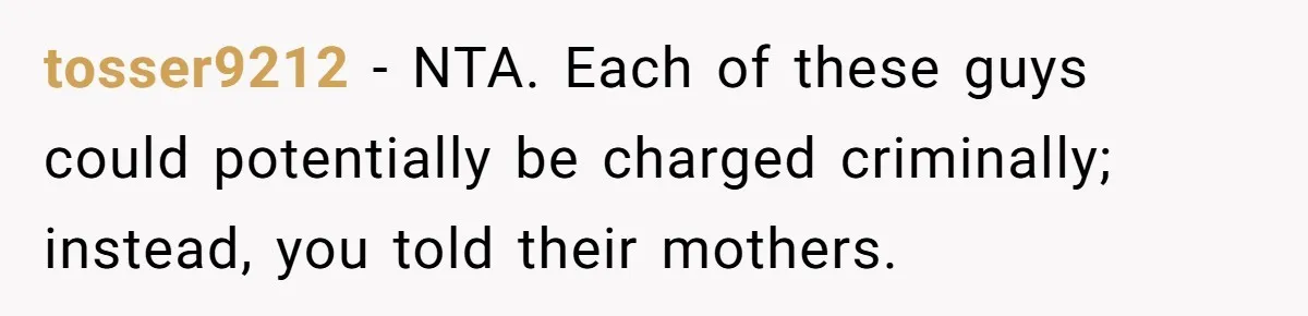 tosser9212 − NTA. Each of these guys could potentially be charged criminally; instead, you told their mothers.