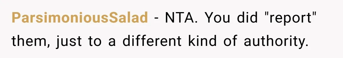 ParsimoniousSalad − NTA. You did "report" them, just to a different kind of authority.