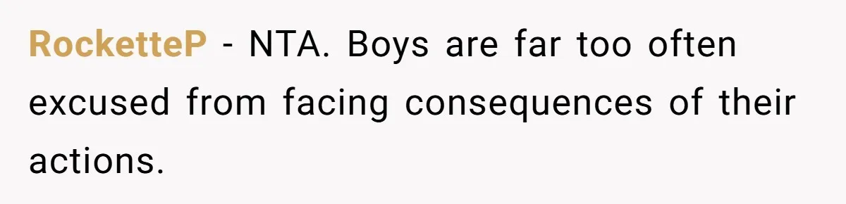 RocketteP − NTA. Boys are far too often excused from facing consequences of their actions.