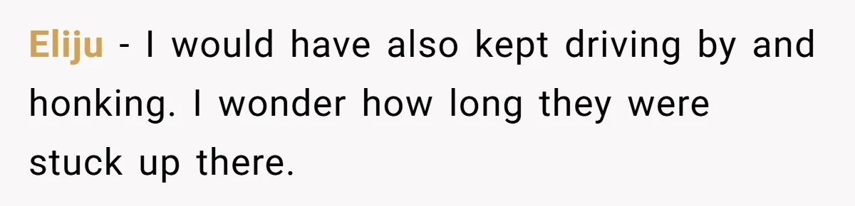 Eliju - I would have also kept driving by and honking. I wonder how long they were stuck up there.