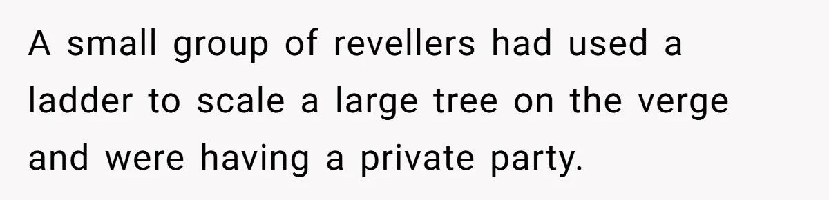 A small group of revellers had used a ladder to scale a large tree on the verge and were having a private party.