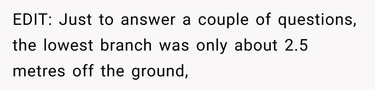 EDIT: Just to answer a couple of questions, the lowest branch was only about 2.5 metres off the ground,