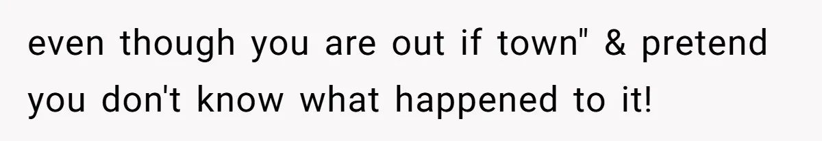 even though you are out if town" & pretend you don't know what happened to it!