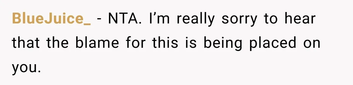 BlueJuice_ − NTA. I’m really sorry to hear that the blame for this is being placed on you.