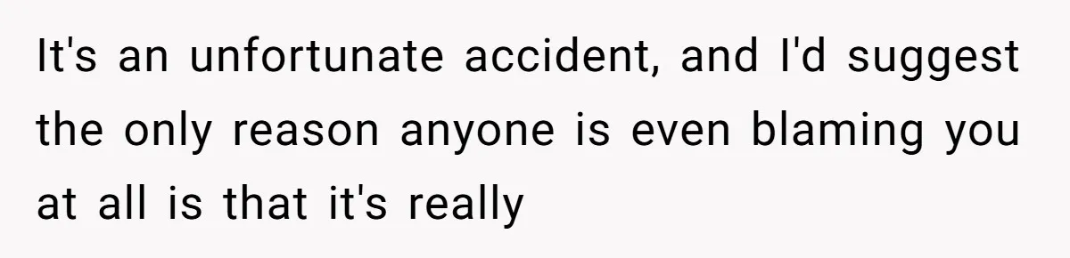 It's an unfortunate accident, and I'd suggest the only reason anyone is even blaming you at all is that it's really