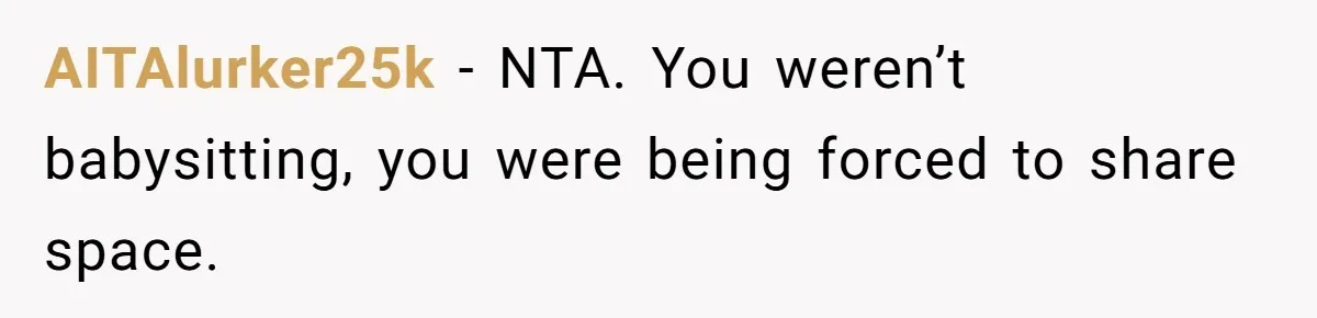 AITAlurker25k − NTA. You weren’t babysitting, you were being forced to share space.
