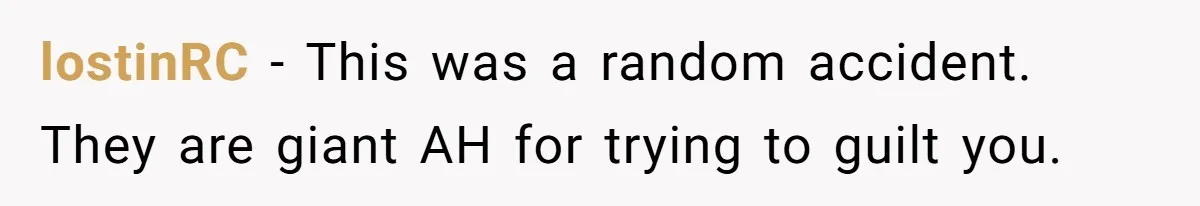 lostinRC − This was a random accident. They are giant AH for trying to guilt you.