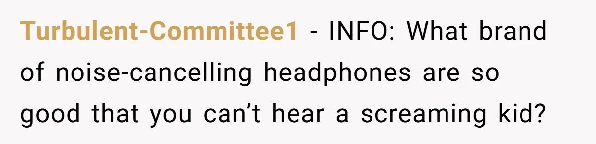 Turbulent-Committee1 − INFO: What brand of noise-cancelling headphones are so good that you can’t hear a screaming kid?