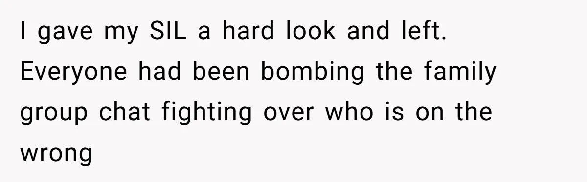 I gave my SIL a hard look and left. Everyone had been bombing the family group chat fighting over who is on the wrong