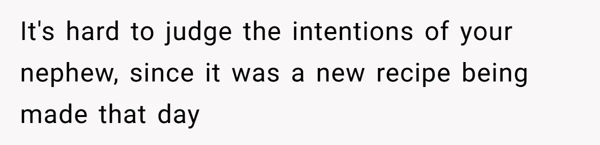 It's hard to judge the intentions of your nephew, since it was a new recipe being made that day
