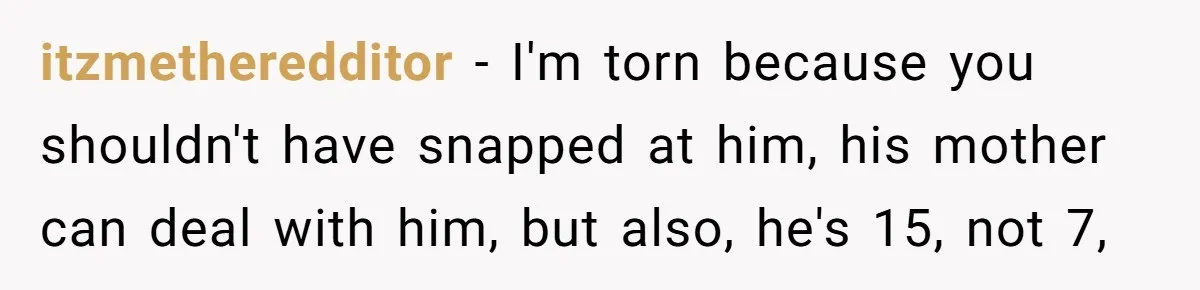 itzmetheredditor − I'm torn because you shouldn't have snapped at him, his mother can deal with him, but also, he's 15, not 7,