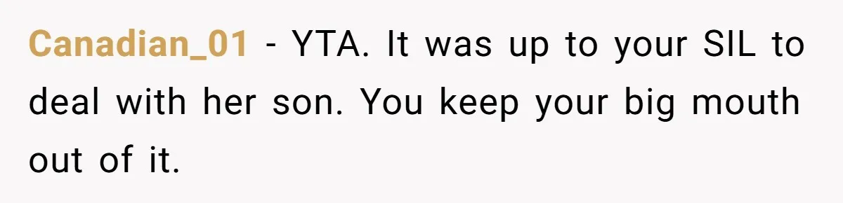 Canadian_01 − YTA. It was up to your SIL to deal with her son. You keep your big mouth out of it.