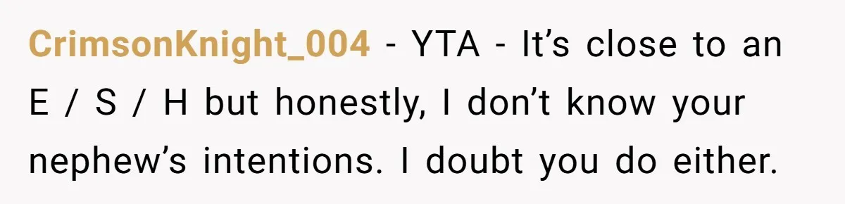 CrimsonKnight_004 − YTA - It’s close to an E / S / H but honestly, I don’t know your nephew’s intentions. I doubt you do either.
