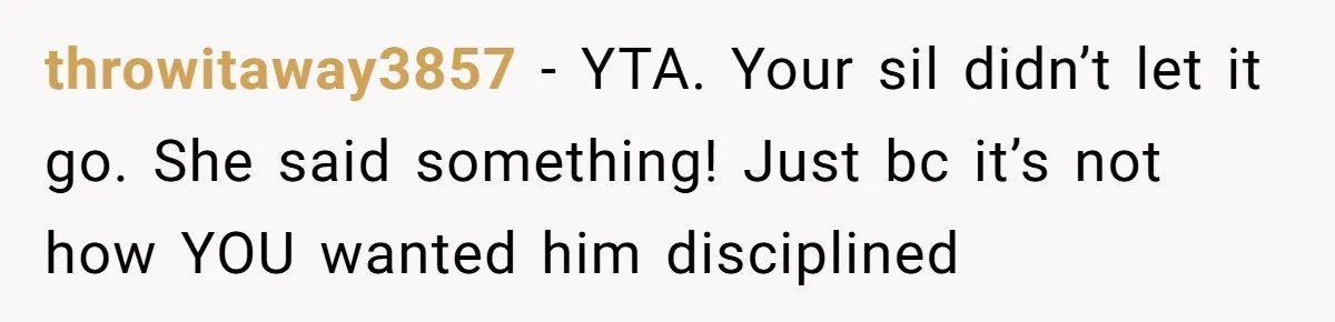 throwitaway3857 − YTA. Your sil didn’t let it go. She said something! Just bc it’s not how YOU wanted him disciplined