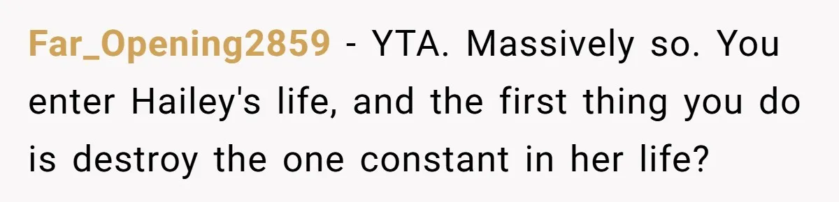 Far_Opening2859 − YTA. Massively so. You enter Hailey's life, and the first thing you do is destroy the one constant in her life?