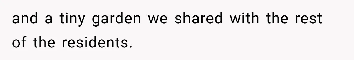 and a tiny garden we shared with the rest of the residents.