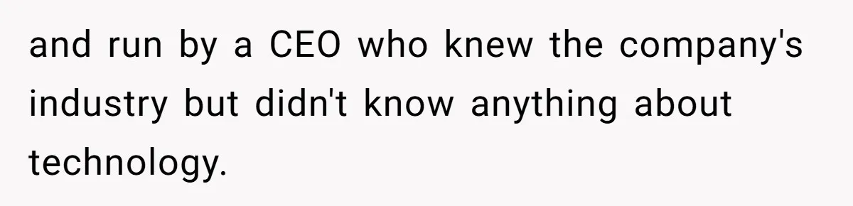 and run by a CEO who knew the company's industry but didn't know anything about technology.